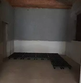 Foto annuncio 11