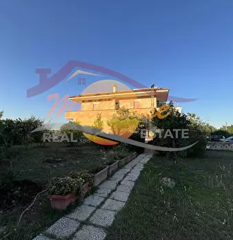 Foto annuncio 2
