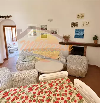 Foto annuncio 24