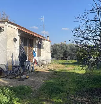 Foto annuncio 4