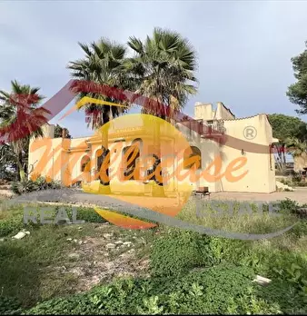 Foto annuncio 1