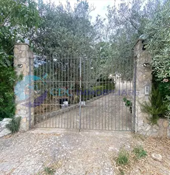Foto annuncio 2