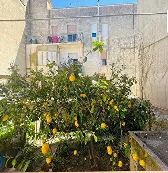 Foto annuncio 12
