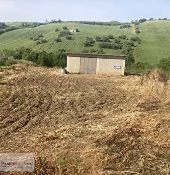 Foto annuncio 2