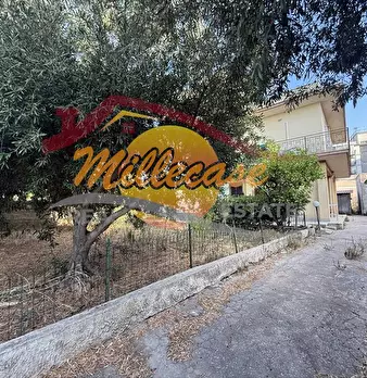 Foto annuncio 14