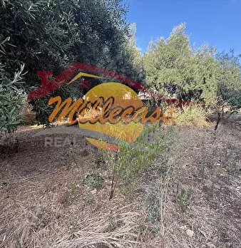 Foto annuncio 17