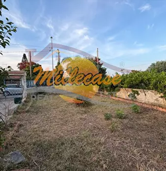 Foto annuncio 19