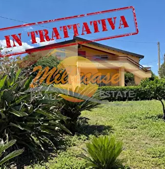 Foto annuncio 1