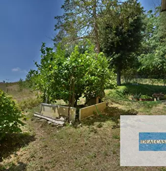 Foto annuncio 6