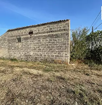 Foto annuncio 7