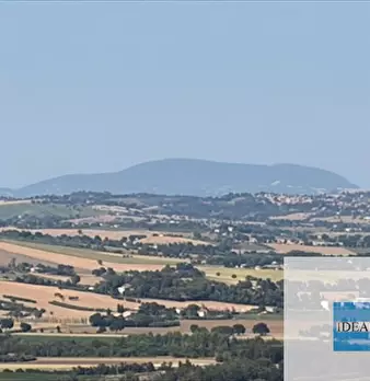 Foto annuncio 30
