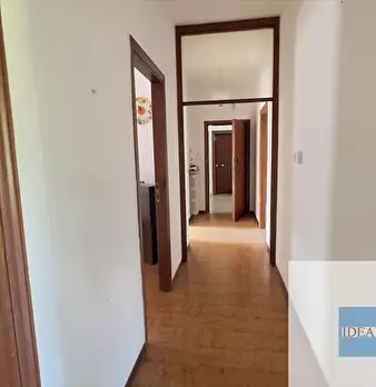 Foto annuncio 30