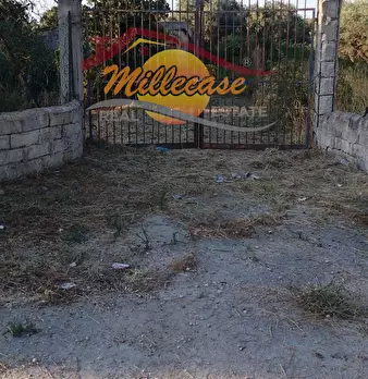Foto annuncio 20