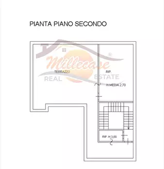 Foto annuncio 30