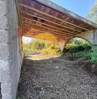 Foto annuncio 12