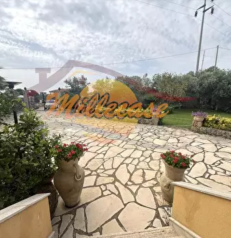 Foto annuncio 21
