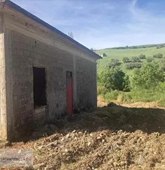 Foto annuncio 4