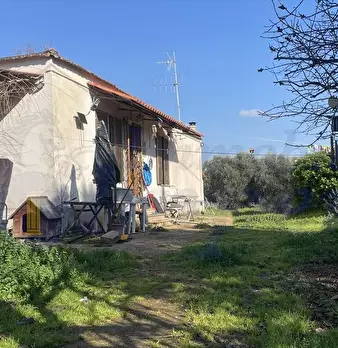 Foto annuncio 3