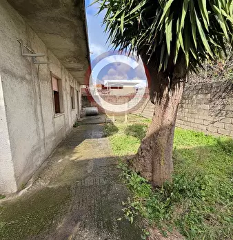 Foto annuncio 12