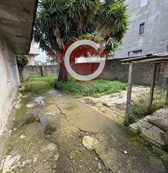 Foto annuncio 11