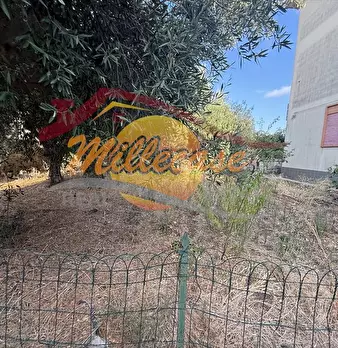 Foto annuncio 4