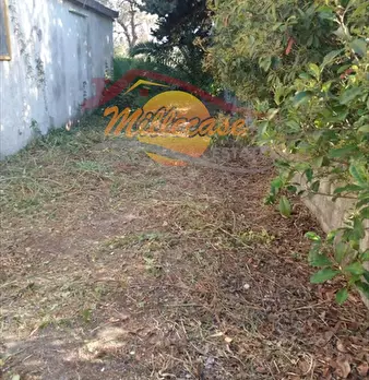 Foto annuncio 21
