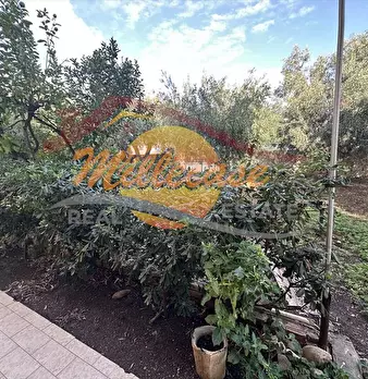 Foto annuncio 29