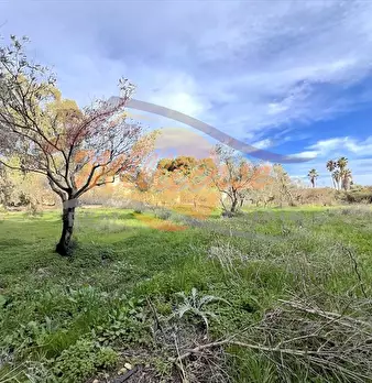 Foto annuncio 4