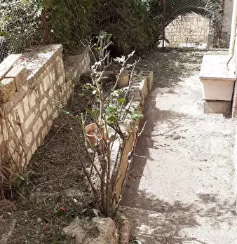Foto annuncio 17
