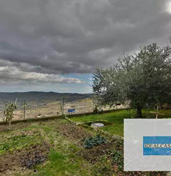 Foto annuncio 14