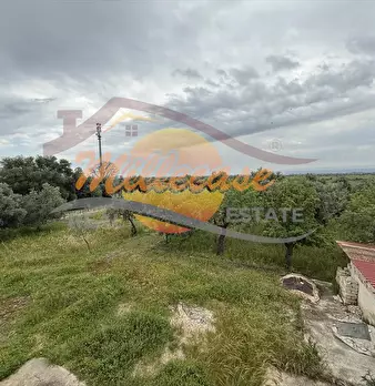 Foto annuncio 22
