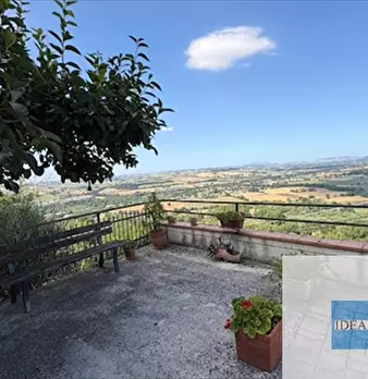Foto annuncio 19