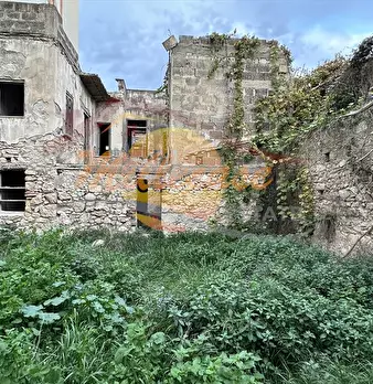 Foto annuncio 11