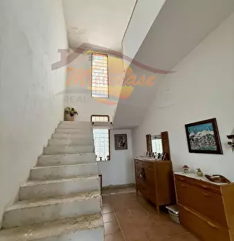 Foto annuncio 19