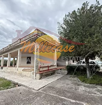 Foto annuncio 3