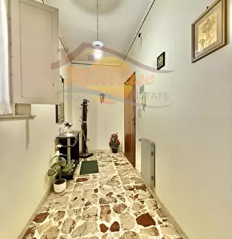 Foto annuncio 6