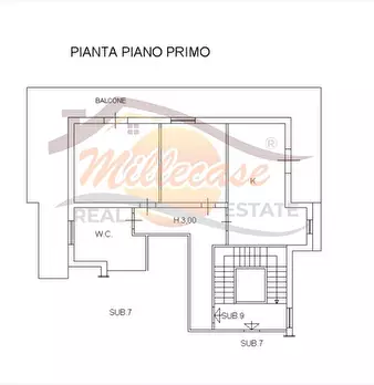 Foto annuncio 29