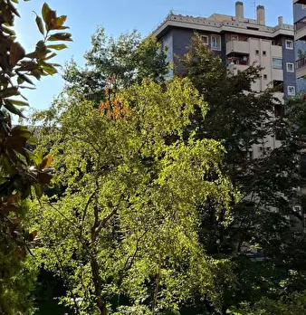 Foto annuncio 40