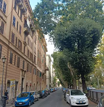 Foto annuncio 16