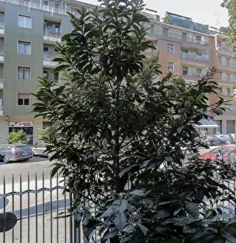 Foto annuncio 24