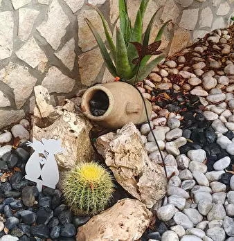 Foto annuncio 12