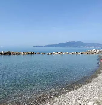 Foto annuncio 10