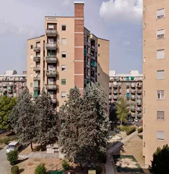 Foto annuncio 41
