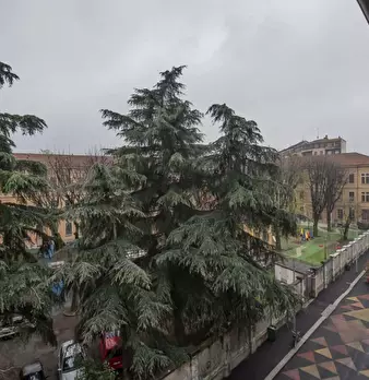 Foto annuncio 6