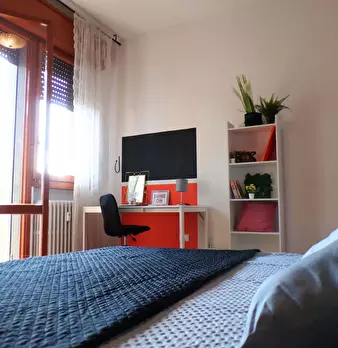 Foto annuncio 5