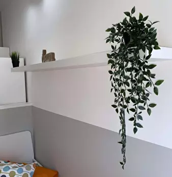 Foto annuncio 2