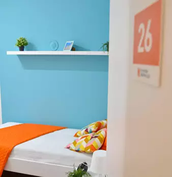 Foto annuncio 5