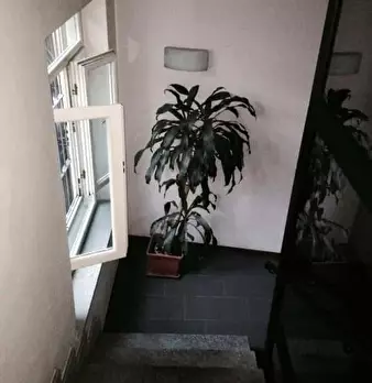 Foto annuncio 10
