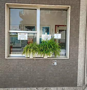 Foto annuncio 16