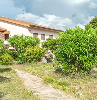 Foto annuncio 28